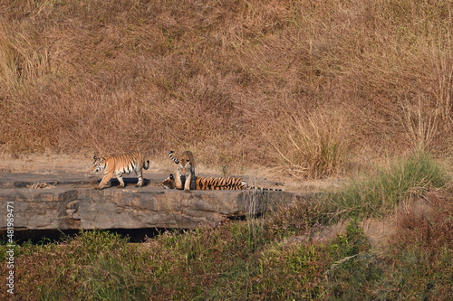 Panna Tiger Reserve