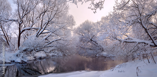 Winter frosty landscape with snow covered trees  © valeriy boyarskiy
