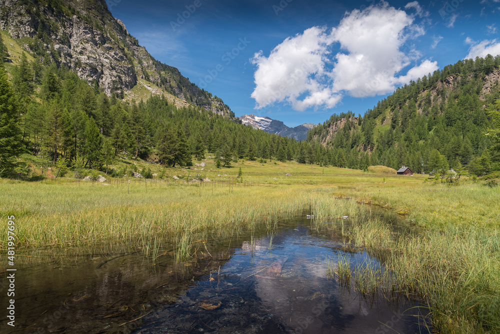 Lago delle Streghe alpine lake at Alpe Devero Italy with trees and clear water