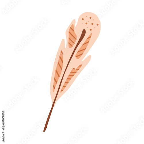 Hand drawn bird feather isolated on a white background. Doodle, illustration in a simple flat style. It can be used for decoration of textile, paper and other surfaces.