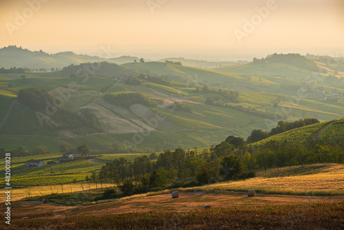 Hills in Oltrepo' Pavese covered in vineyards and fields at sunset, Italy photo
