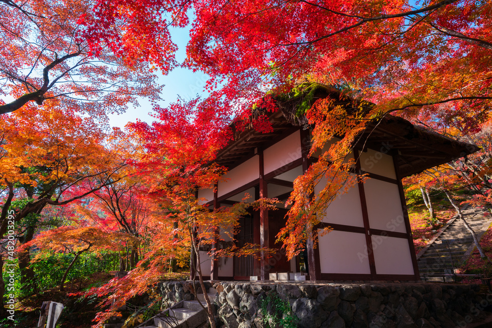 京都　嵯峨野　常寂光寺（じょうじゃっこうじ）の仁王門と紅葉