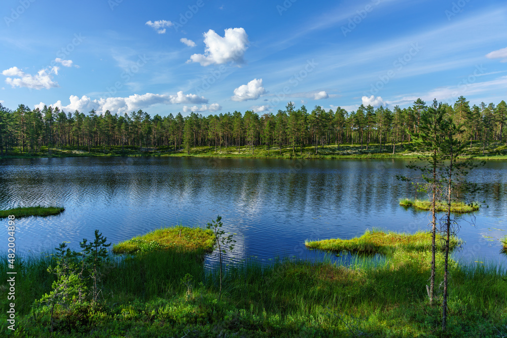 Obraz premium Tranquil summer view across a small lake in northern Sweden