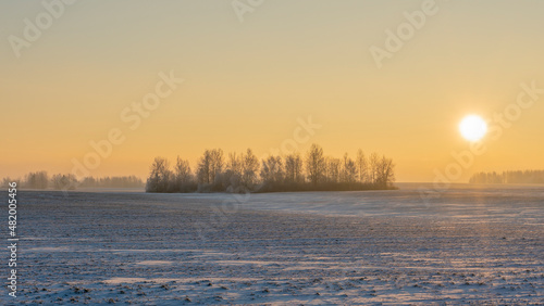 Winter landscape in snow nature with sun  field and trees. Magical winter sunset in a snow field.