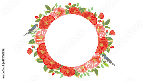 Red camellia flowers and swallow bird frame, vector background illustration