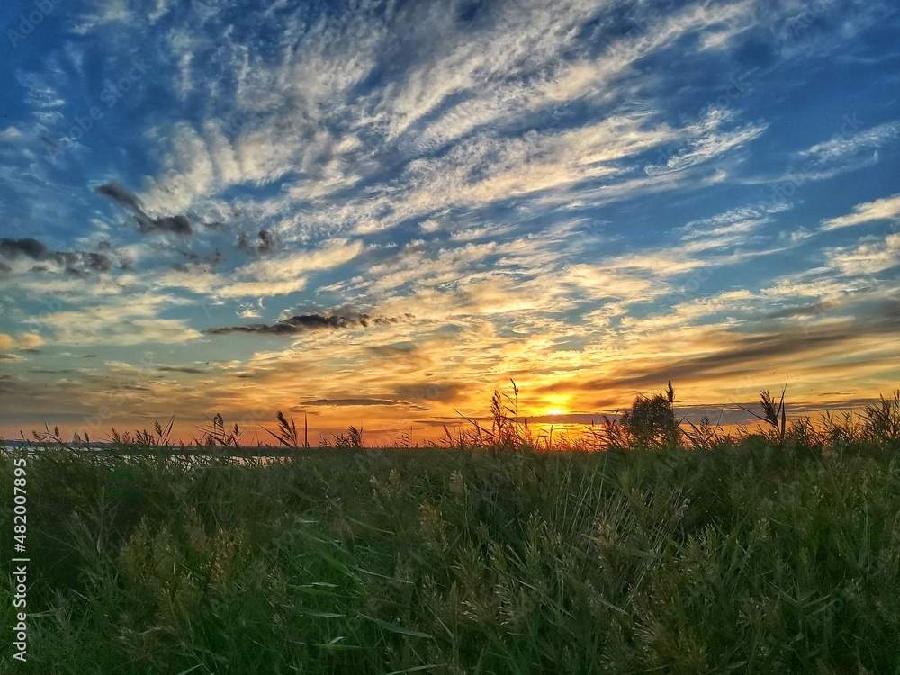 sunset over the field sunset over the field