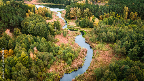 River and swamps in the autumn. Aerial view of wildlife.