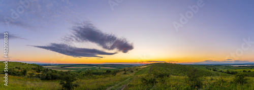 Vineyards under Palava near Dolni Dunajovice, Southern Moravia, Czech Republic