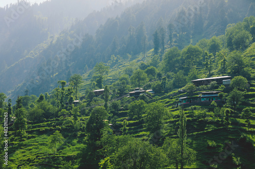 Traditional Houses on the Green Forest Rocks in Pakistani Mountains, Gilgit - Baltistan, Pakistan