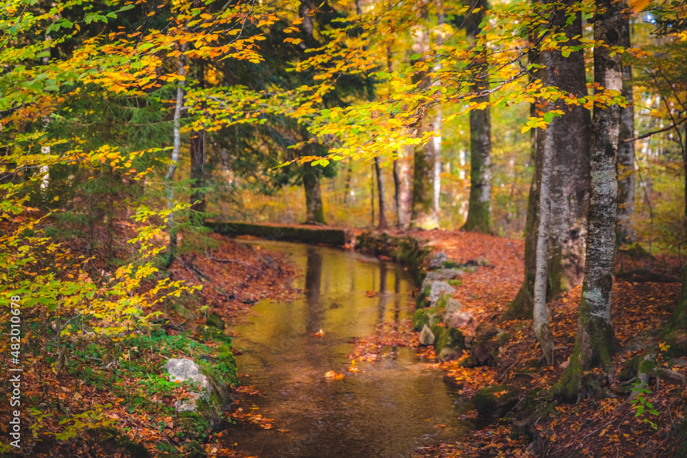 Herbstliche Heidewuhr bei Bergalingen