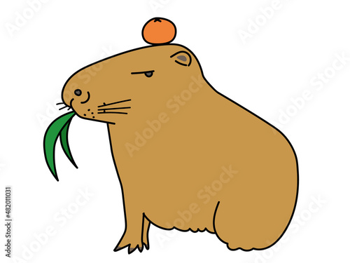 頭にみかんを乗せながら草を食べるカピバラの横向きイラスト
