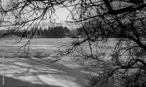 through tree branches, winter landscape