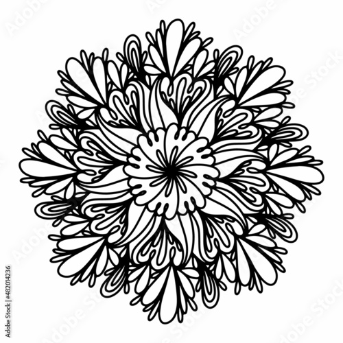 Floral, hand drawn aster mandala flowers in doodle style isolated on white background. Funny and cute coloring for seasonal design, textile, decoration kids playroom or greeting card. Chrysanthemum.