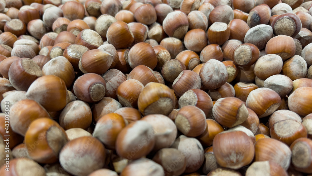 Fresh hazelnuts in the store counter. Organic hazelnuts. Fresh hazelnuts in the store counter. Organic hazelnuts.