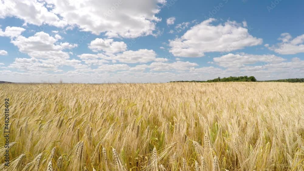 Captivating scene of the countryside with white fluffy clouds. Captivating scene of the countryside with white fluffy clouds.