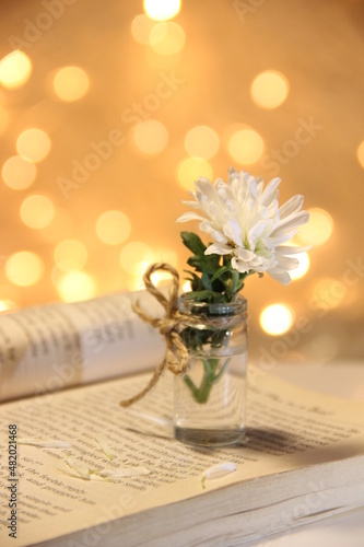 bouquet of flowers on the book