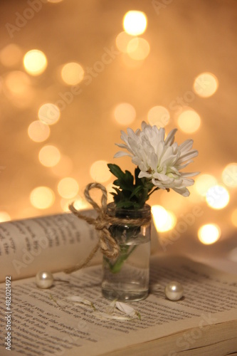 bouquet of flowers on the book