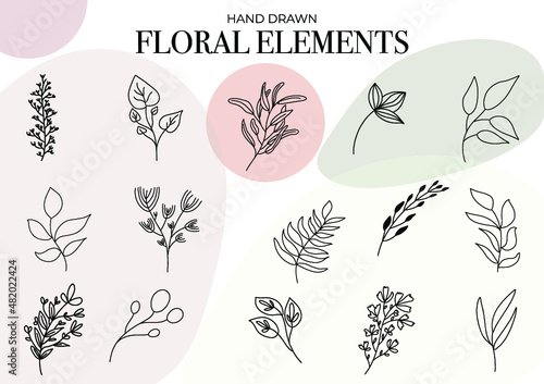 Hand drawn floral elements. Ideal for greeting cards, decor,  logo design, print, textile, wallpaper or any other creative designs