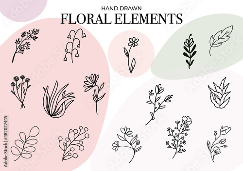 Hand drawn floral elements. Ideal for greeting cards, decor,  logo design, print, textile, wallpaper or any other creative designs