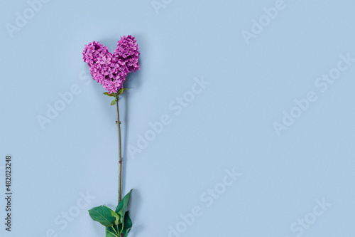 Valentine's Day card with bouquet of lilacs on paper background. Symbolic heart.