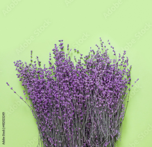 Purple lavender for celebration decoration design on green paper background. Vintage floral card.