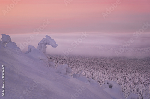 In the kingdom of the snow dragon. The Kolchim Stone, Krasnovishersk, Perm krai, Russia