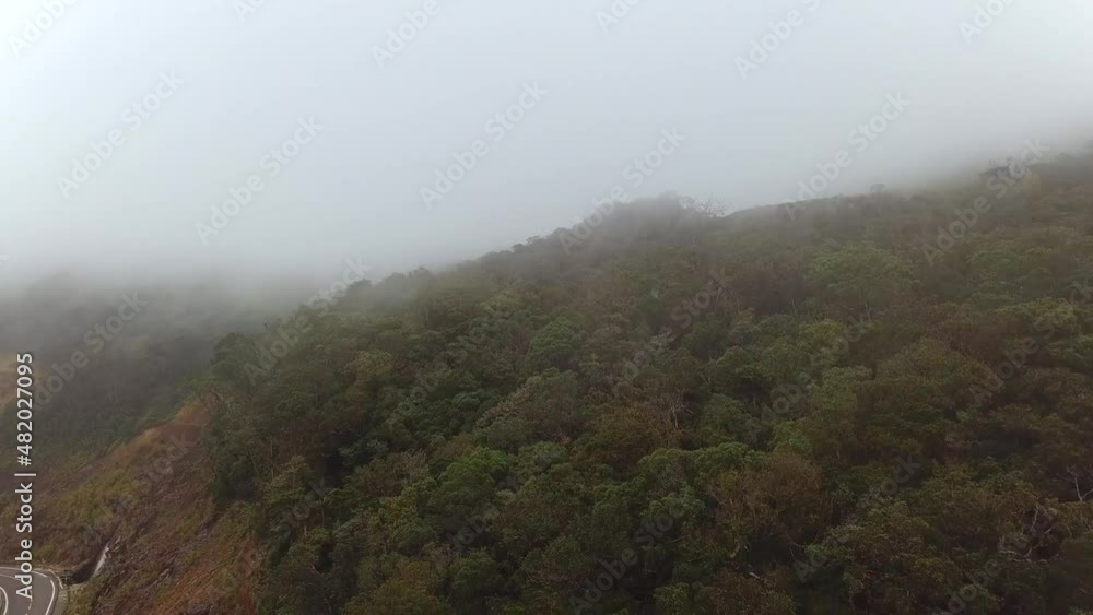Fog rolling over rainforest in mountains. Atmospheric, mystical tropical landscape aerial view. Fog rolling over rainforest in mountains. Atmospheric, mystical tropical landscape aerial view.