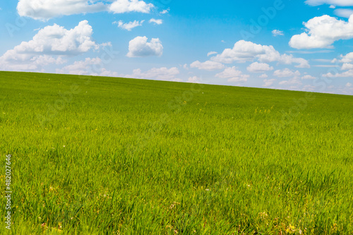 Green hillside under blue sky with beautiful clouds.
