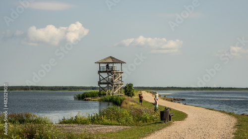Old wooden watch tower in the lake © Matas Mačiulskis