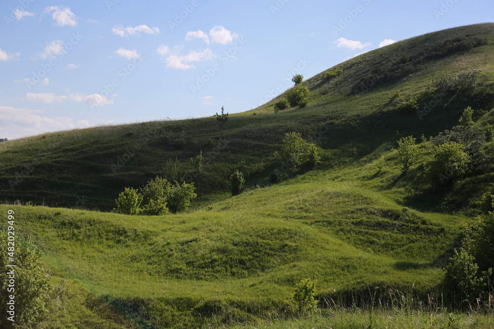 Fototapeta premium landscape hills grass with sky