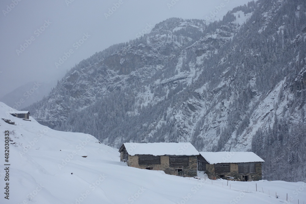 Chalets d'alpage sous la neige pour élevage bétail en été