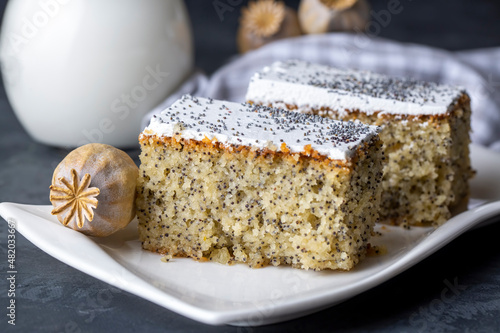 A dessert from traditional Turkish cuisine; Poppy cake, sweet. (Turkish name; Hashasli revani) photo