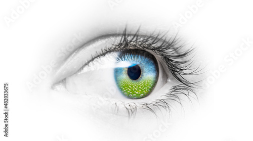 Auge mit einer Pupille aus einer gr  nen Landschaft mit Blumen