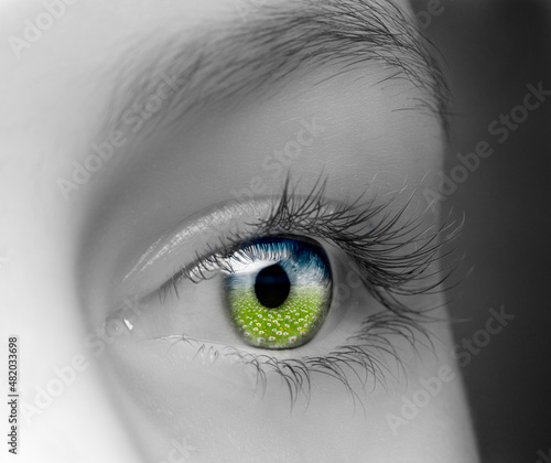 Auge mit einer Pupille aus einer grünen Landschaft mit Blumen