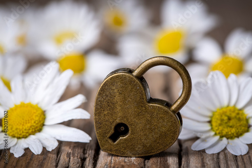 Heart shaped padlock. Valen...