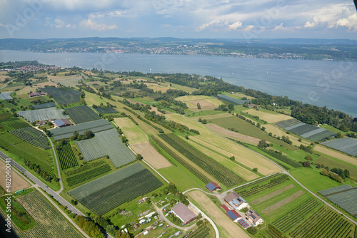 Felder am Bodensee