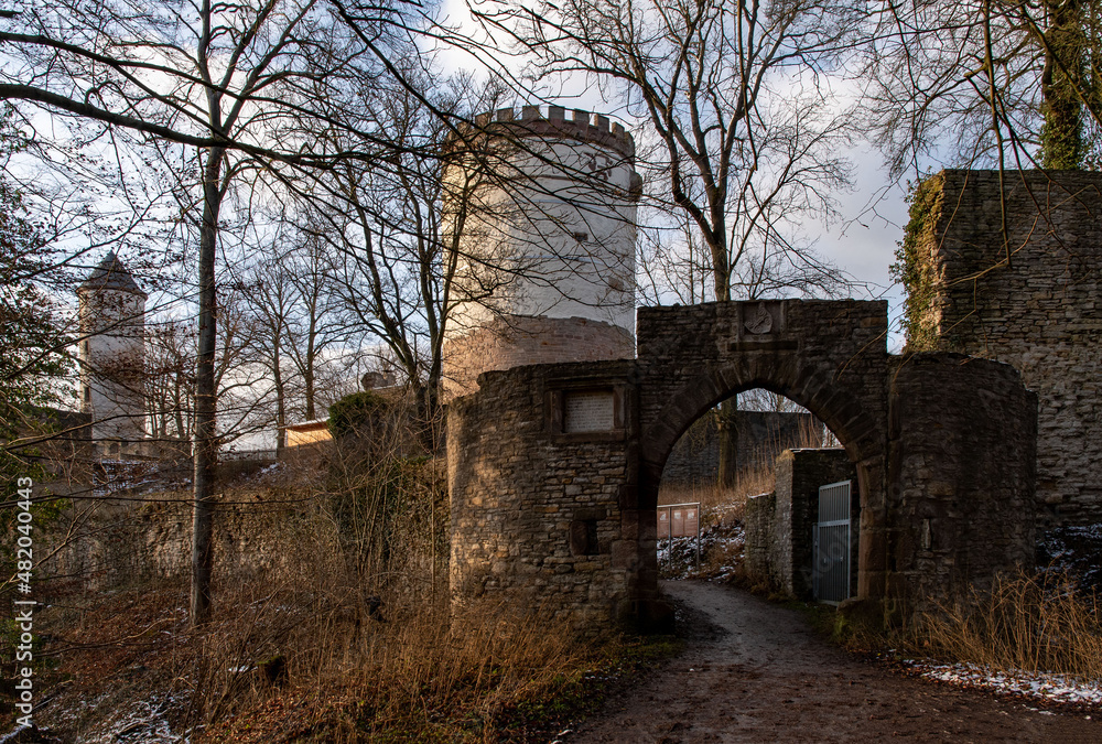 Ruine der Burg Plesse in Bovenden in Niedersachsen, Deutschland