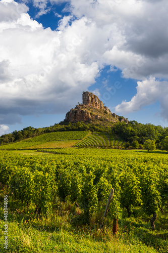 Rock of Solutre with vineyards  Burgundy  Solutre-Pouilly  France