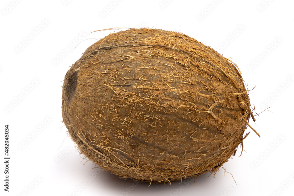 isolated coconut on a white background isolated coconut on a white background