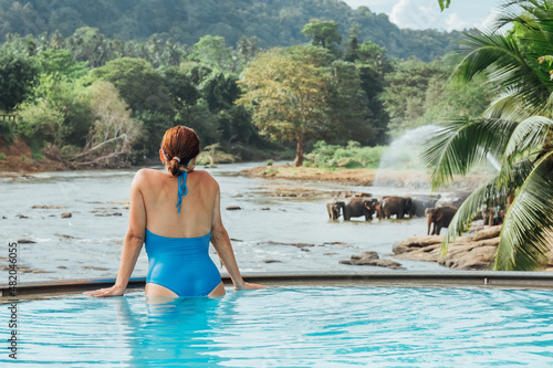 Photography Woman relaxing in swimming pool and watching a Herd of Young elephants in river water hosing in Pinnawala Elephant Orphanage