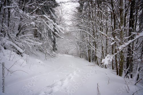 Winter, Bäume, Wald, Winterlandschaft, Schnee, Schneelandschaft, Weihnachten, Weg, Bayern