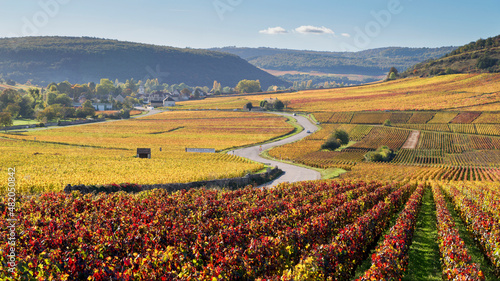 Climat de Bourgogne En Verseuil  Volnay