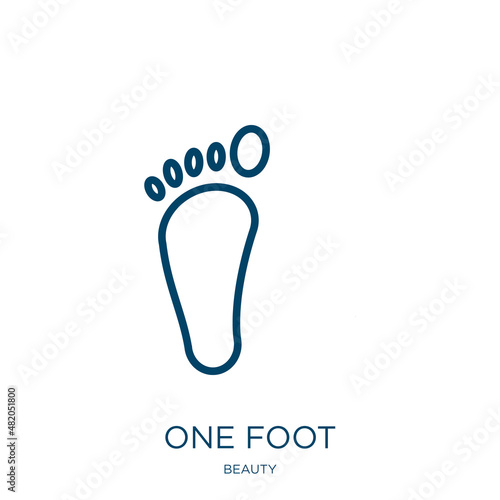 one foot icon from beauty collection. Thin linear one foot, foot, one outline icon isolated on white background. Line vector one foot sign, symbol for web and mobile