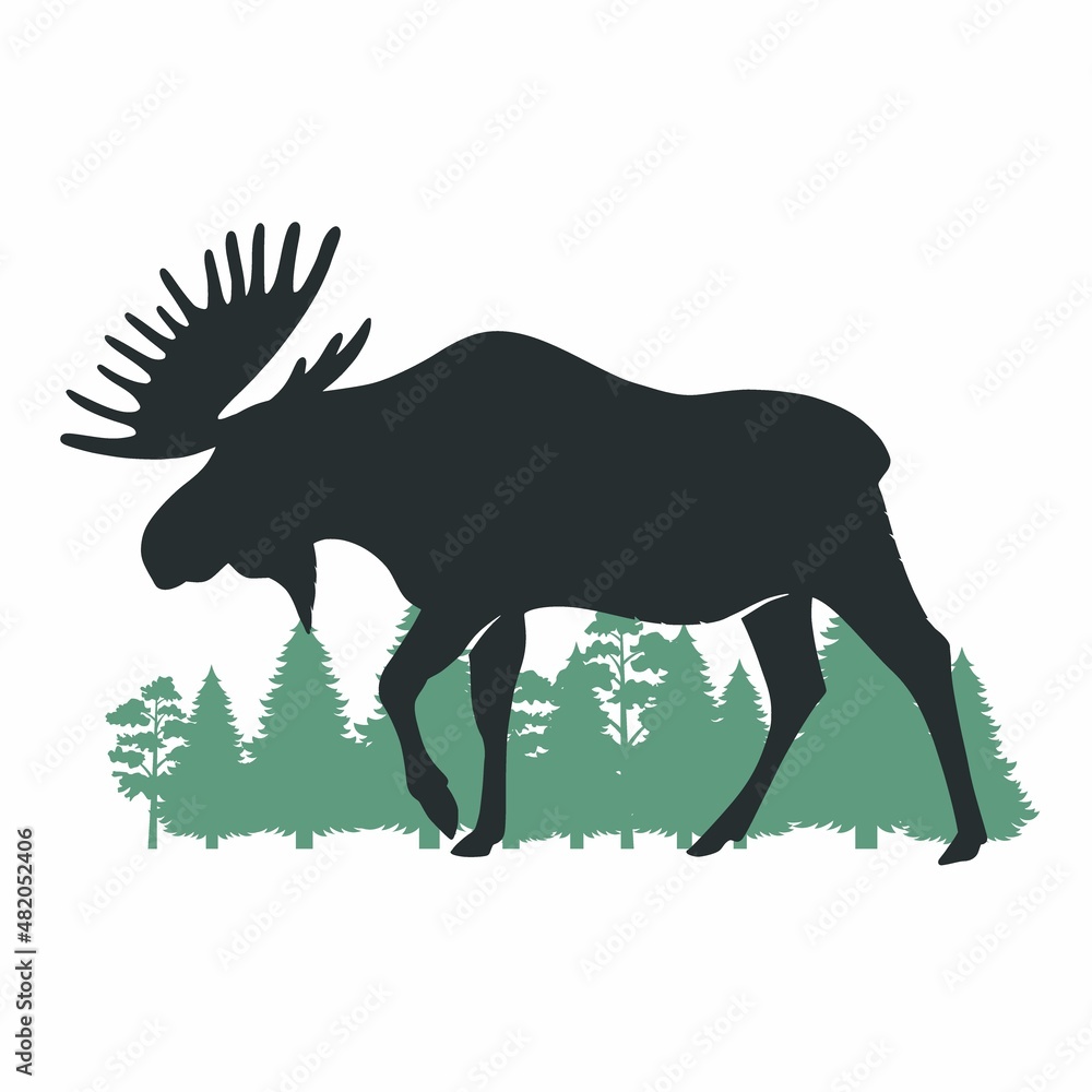 Elk. Vector drawing Elk. Vector drawing