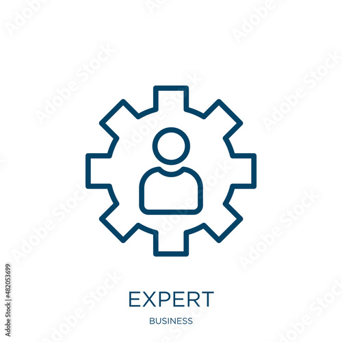 expert icon from business collection. Thin linear expert, business, management outline icon isolated on white background. Line vector expert sign, symbol for web and mobile