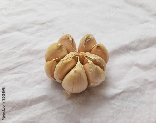 garlic on a white background