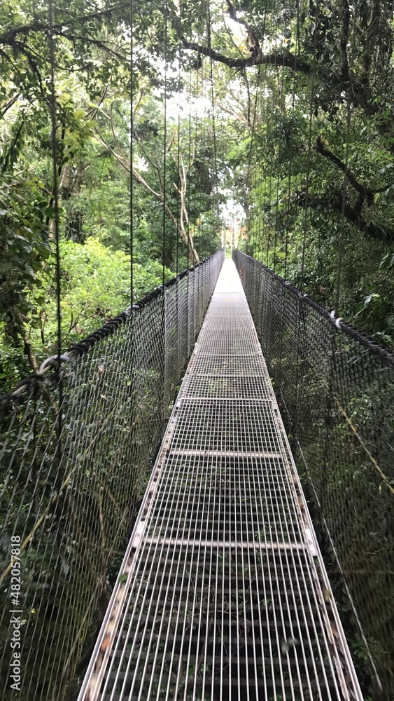 Obraz premium bridge