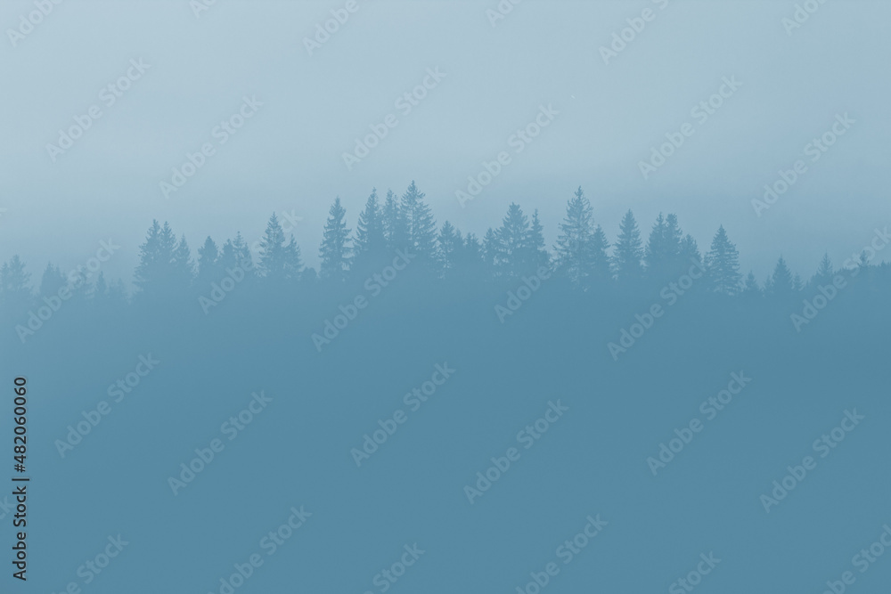 Silhouettes of trees on mountain peak in solid fog. Calm and misty minimal landscape