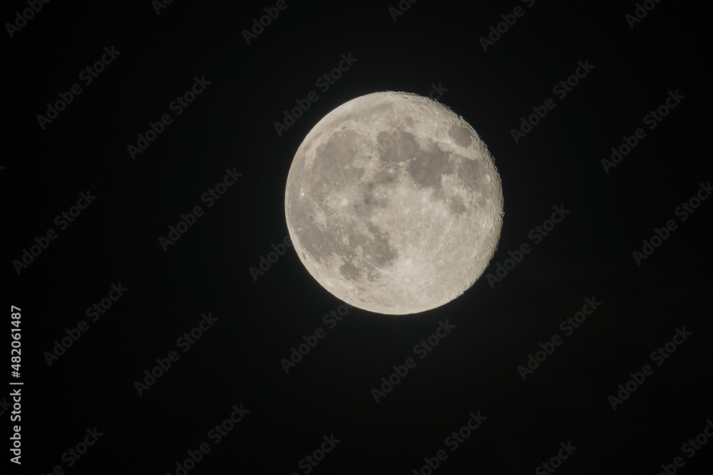 Moonlight show Moonlight show