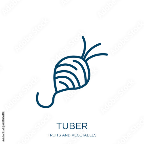 tuber icon from fruits and vegetables collection. Thin linear tuber, collage, unequal outline icon isolated on white background. Line vector tuber sign, symbol for web and mobile